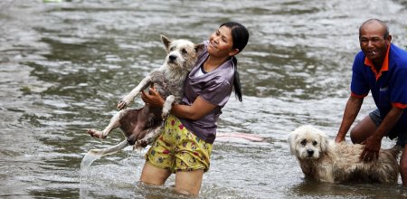 Люди спасают животных