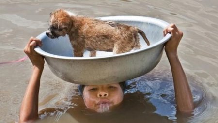 Человеческая доброта