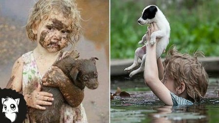 Настоящий добрый человек