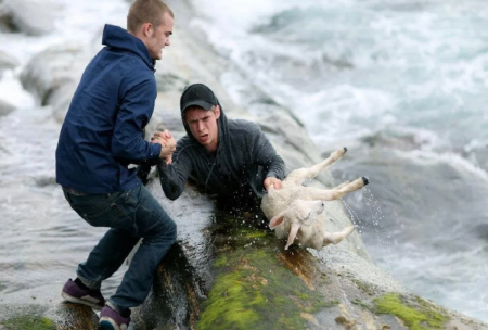 Добрые поступки