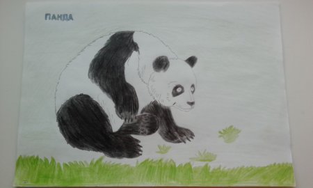 Красная книга рисунок