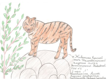 Нарисовать животное из красной книги