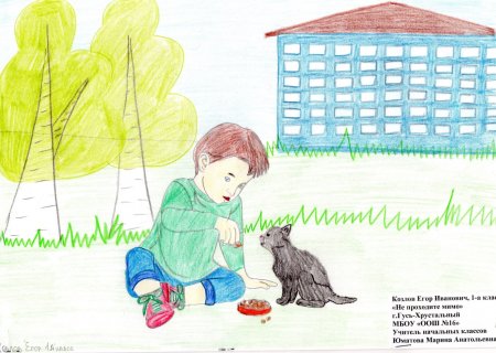 Плакаты в защиту бездомных животных