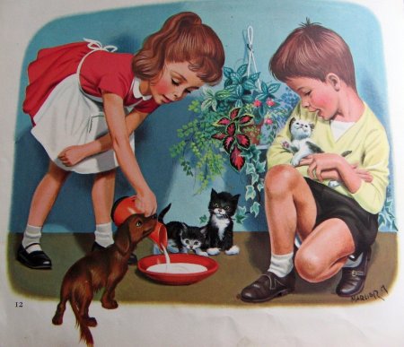 Девушка кормит собаку