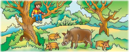 Опасности в лесу для детей