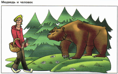 Безопасное поведение при встрече с дикими животными