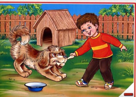 Безопасность с домашними животными