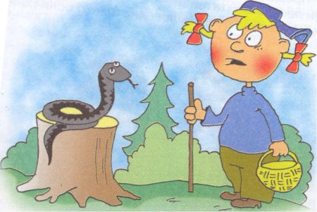 Опасности в лесу для детей