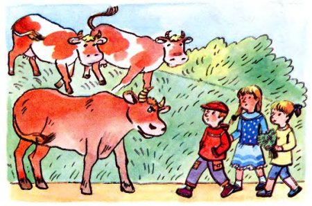 Безопасность с домашними животными