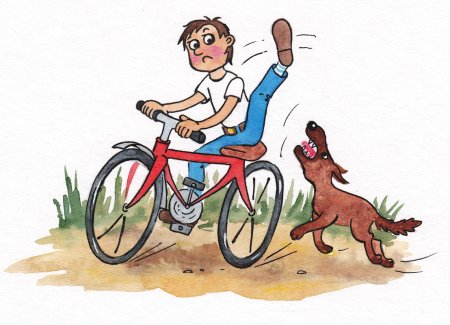 Безопасное поведение с животными