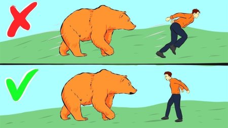 Встреча человека с медведем