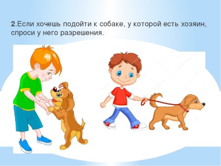 Как вести себя при встрече с собакой