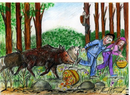 Залез на дерево от кабана