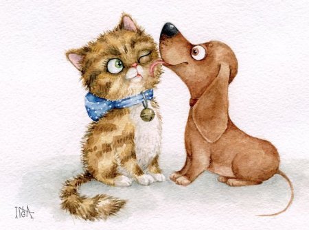 Кошка и собака рисунок