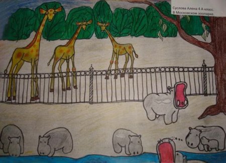 Рисование животных в зоопарке