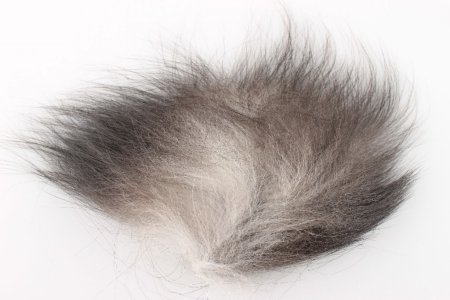 Клочок шерсти