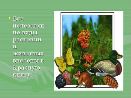 Рисунки лосей для срисовки