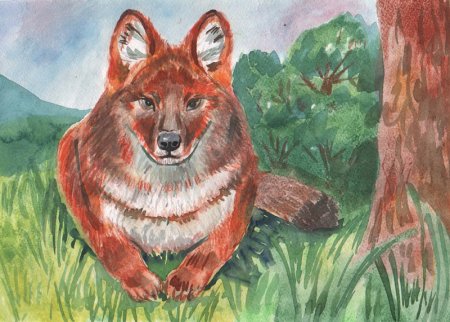 Маковеева Ирина ДАЛЬНОВОСТОЧНЫЙЛЕОПАРД