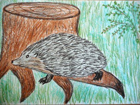 Муравьед раскраска