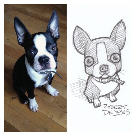 Рисунки животных для перерисовки