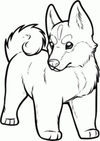 Рисунки для срисовки животные