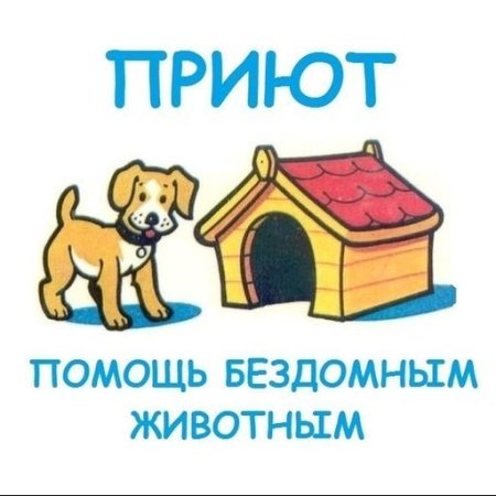Помоги приюту для животных
