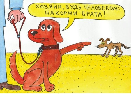 Помощь бездомным собакам рисунок