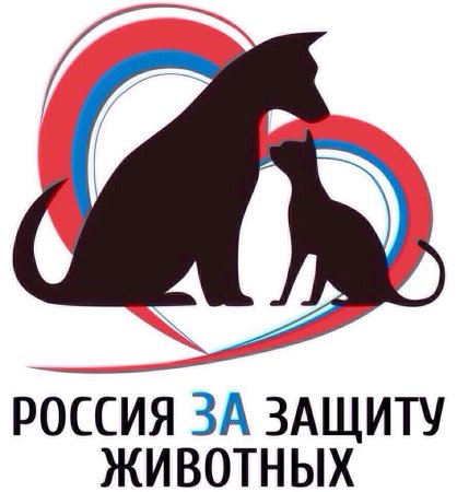 Защита животных рисунок
