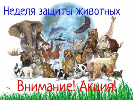 Защита животных