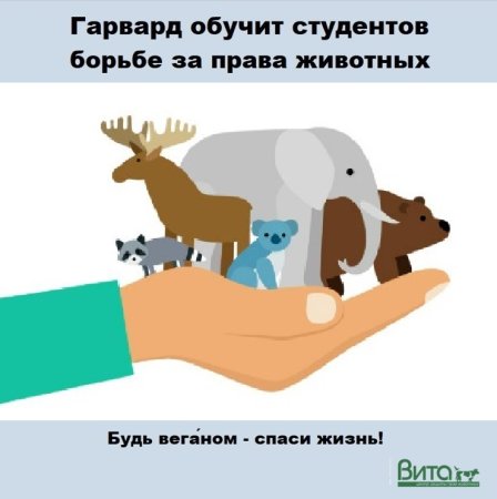 Рисунок берегите животных