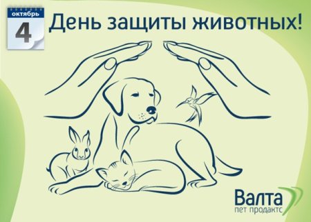 Рисунок на тему Живая Планета