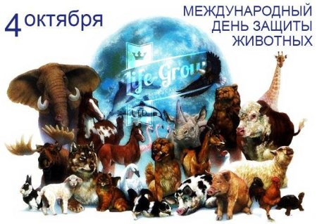 Рисунок на тему защита животных