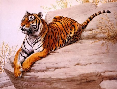 Guy Coheleach американский художник