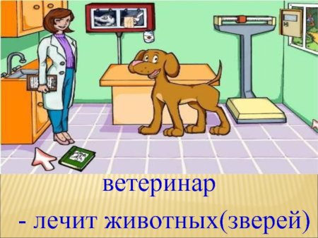 Профессия ветеринар для детей дошкольного возраста