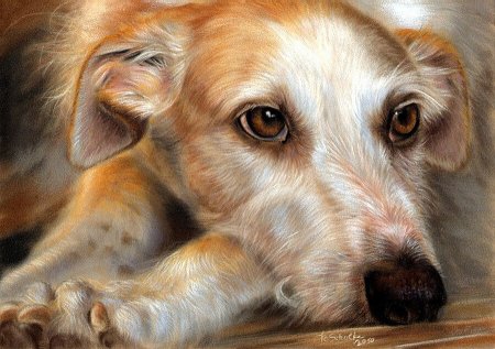 Люси Ньютон художник