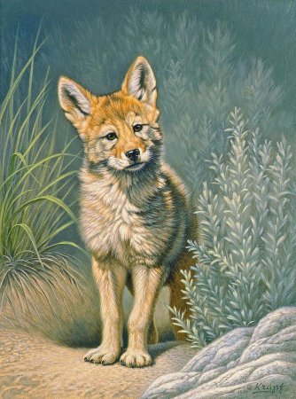 Terry Isaac художник-анималист