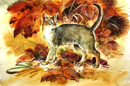 Питер Уильямс (Peter Williams)