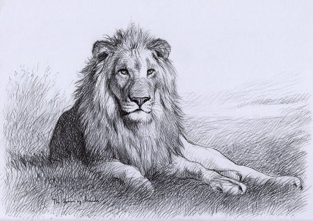 Лев рисунок