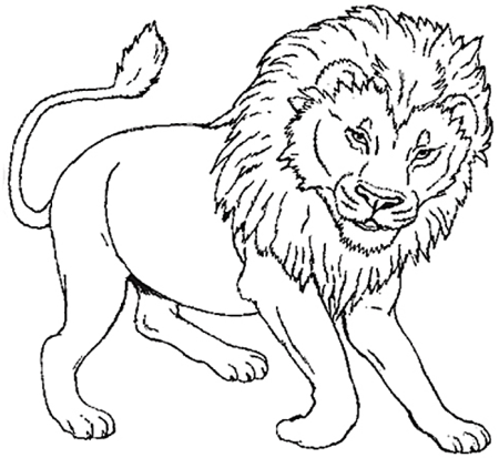 Раскраска Лев