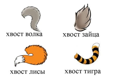 Хвост рисунок