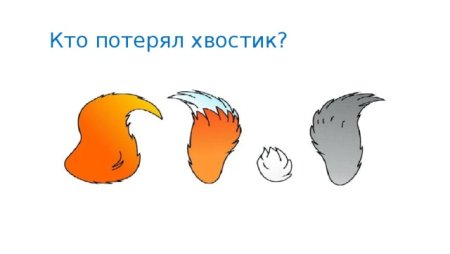 Хвосты животных для детей