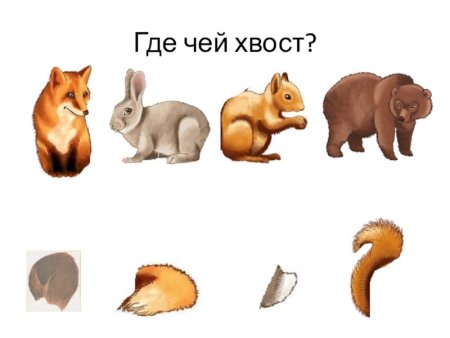Игра чей хвост Дикие животные