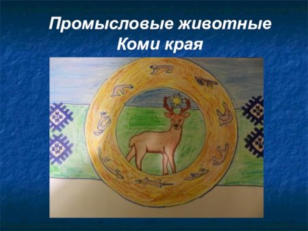 Рисунок Коми край