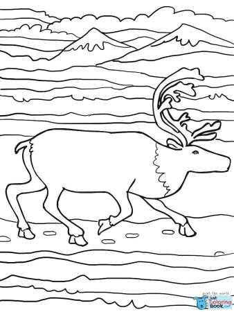 Тундра раскраска