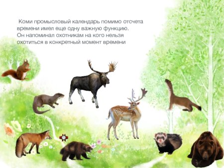 Обитатели Коми края