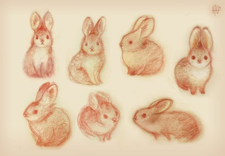 Кролик для рисования