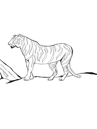 Раскраска исчезающие животные