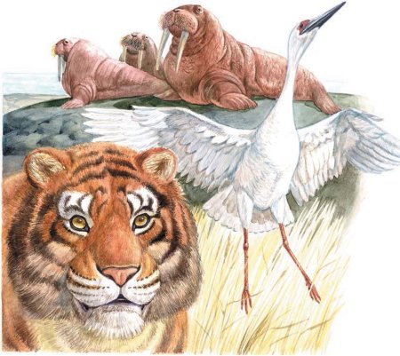 Рисунки вымирающих животных