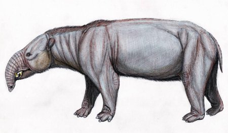 Astrapotherium Magnum