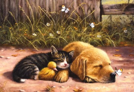 Уолш Кевин (Kevin Walsh) кошки, собаки